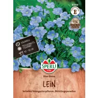 Díszlen Blue Dress 80 perli Sperli