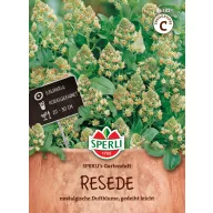 Rezeda Gartenduft 100 sjemenki Sperli