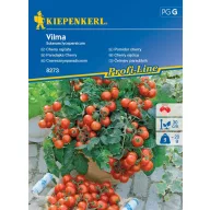 Rajčica cherry Vilma 10 sjemenki Kiepenkerl