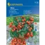 Rajčica cherry Vilma 10 sjemenki Kiepenkerl