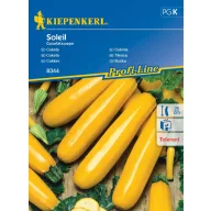 Tikvica Soleil 7 sjemenki Kiepenkerl