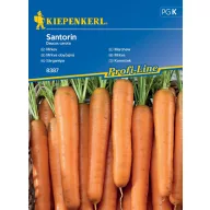 Mrkva Santorin F1 3-4 fm Kiepenkerl