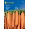 Mrkva Santorin F1 3-4 fm Kiepenkerl