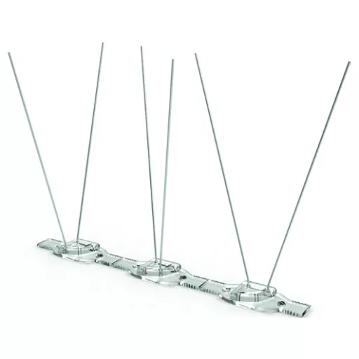 Trn protiv golubova, Spike bird 1 m
