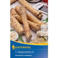 Hren (korijen) Kiepenkerl 1 kom