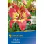 Lukovica cvijeta ljiljan Forever Linda (koraljno-žuta) Kiepenkerl 1 kom