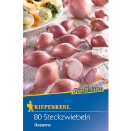   Sadbena lukovica šalotke Rosanna (ružičasta) Kiepenkerl 80 kom