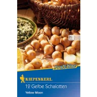   Dughagyma Salottahagyma Yellow Moon (žuta) Kiepenkerl 10 kom