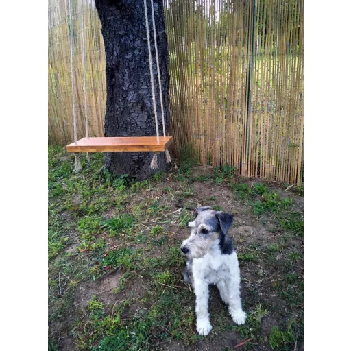 Razdijeljeni bambusov pleter Bamboocane 2x5m