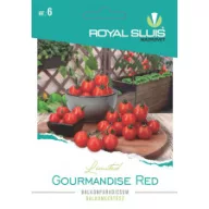 Rajčica za balkon Gourmandise Red 10 sjemenki Royal Sluis