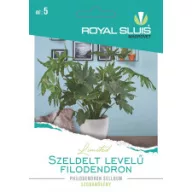Filodendron s razdijeljenim listovima 16 komada Royal Sluis