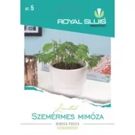 Sramežljiva mimoza 0,2 g Royal Sluis