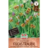 Cvjetne lukovice asirski kockasti ljiljan 15 kom Sperli