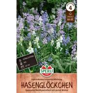   Lukovica cvijeta Španjolski plavi zvončić mješavina boja 10 kom Sperli