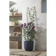 Ljestve za cvijeće bambus 150x40 cm