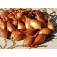 Jesenske lukovice iz Makóa 500 g VM