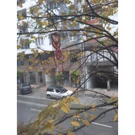 Lice za plašenje ptica SCARYFACE