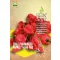 Organska chili paprika NuMex Suave Red Rein Saat, cca 20 sjemenki