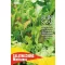 Organska salata Misticanza Rein Saat za oko 4-5 m2