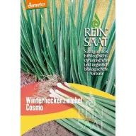 Luk za vezanje bio Winter Hedge Cosmo Rein Saat cca. 1 g