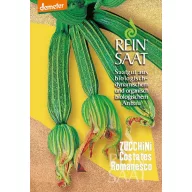 Cukkini bio Costata Romanesco Rein Saat cca. 10 sjemenki