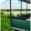 Ovalna plastična trska Litecane PVC zelena 2x3 m