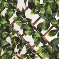   Bambusova rešetka s ukrasnim listovima TRELLIBAMBU BUXUS zelena-smeđa 1 x 2 m