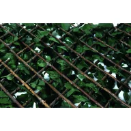   Izvlačna vrbova rešetka s plastičnim lišćem TRELLIWILLOW HEDRA zelena-smeđa 1 x 2 m