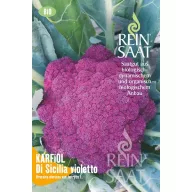   Organski ljubičasti cvjetača Di Sicilia Violetto, čisto sjeme, oko 50 sjemenki