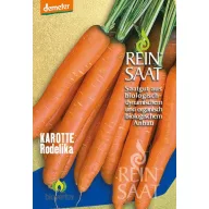 Mrkva bio Rodelika Rein Saat oko 50 sjemenki