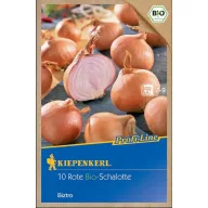   Dughagyma organska šalotka Biztro (ljubičasta) Kiepenkerl 10 kom