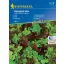 Salata za trganje Babyleaf Mix (Oaking, Diablotin, Greenet, Cavendish) Kiepenkerl 3 m