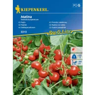 Rajčica za salatu Matina Kiepenkerl oko 35 sjemenki