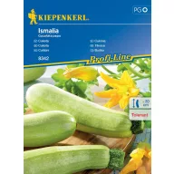 Tikvica Ismalia F1 Kiepenkerl cca. 6 sjemenki