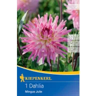 Lukovica dalije Mingus Julie Kiepenkerl 1 kom