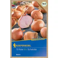 Luk za sadnju bio šalotka Biztro Kiepenkerl 10 kom