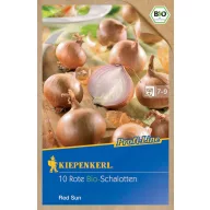 Organski luk šalotka Red Sun Kiepenkerl 10 kom.