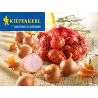 Sjetvena šalotka Red Sun Kiepenkerl 500g