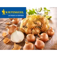 Sadni luk šalotka Golden Gourmet Kiepenkerl 500g