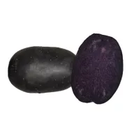 Sjetveni gomolj krumpira ljubičasti Bleuet 25-35 mm 50 kom