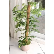 Kokosova potpora COCO Ø 45 mm 120 cm