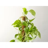 Kokosova potpora COCO Ø 45 mm 120 cm