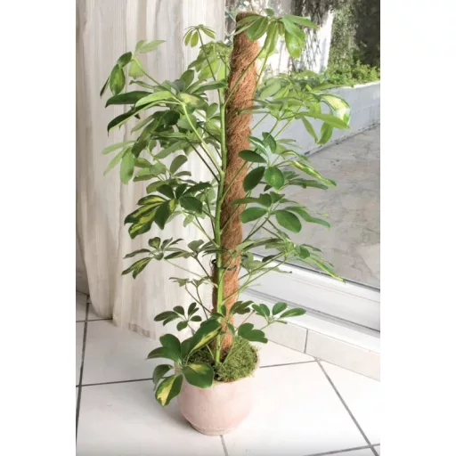 Kokosova potpora COCO Ø 45 mm 100 cm