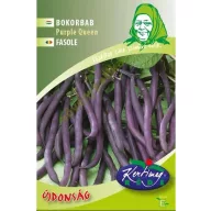 Grmasti grah s ljubičastim mahunama Purple Queen 50 g