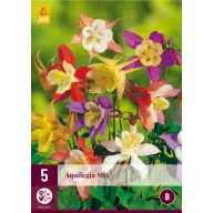 Višegodišnja Aquilegia Mix (vrtna akvilegija) 5 kom JUB