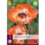 Trajnica Papaver orientale Picotee (mak) 1 kom JUB