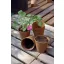 Torfna saksija Growing pot, promjer 8 cm, 20 kom, prirodna