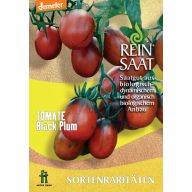 Rajčica bio Black Plum Rein Saat oko 30 sjemenki