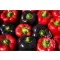 Bio paprika Violetta Rein Saat cca 35 sjemenki
