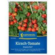 Trešnja rajčica Ampelo Rot F1 Kiepenkerl 12 sjemenki